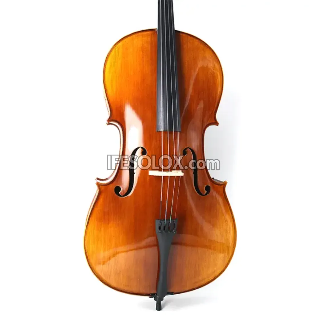 Premium 4/4 Professional Cello with Hard Case, Bow and Rosin - Brand New