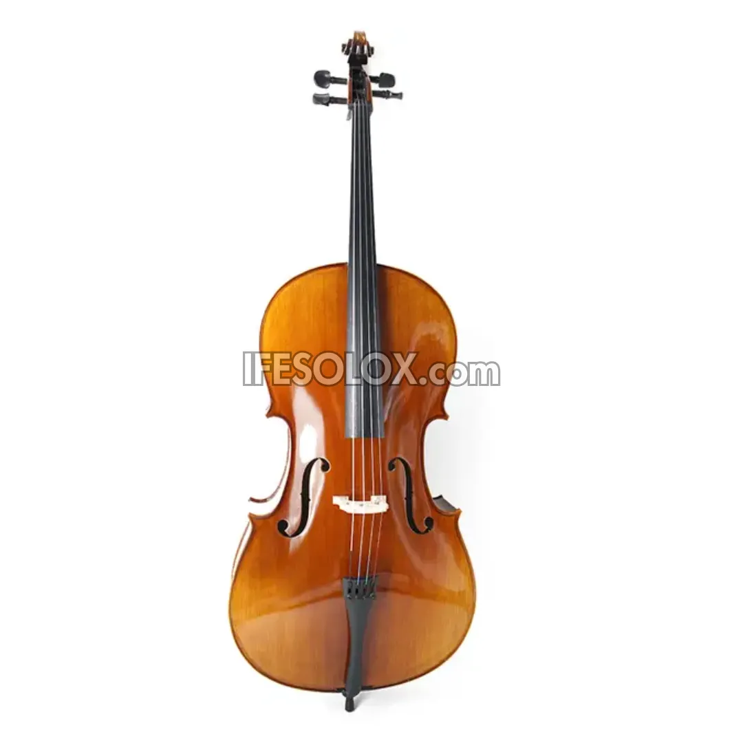 Premium 4/4 Professional Cello with Hard Case, Bow and Rosin - Brand New