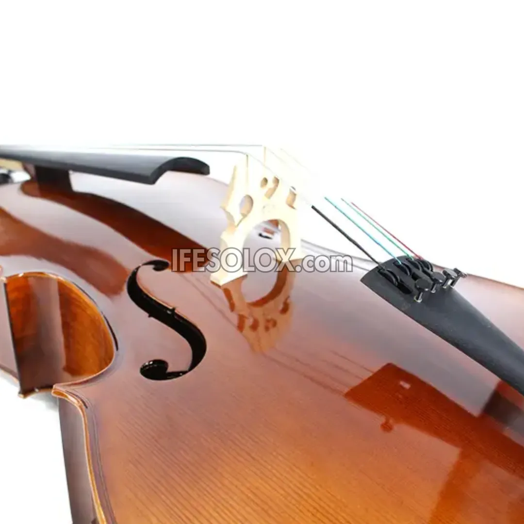 Premium 4/4 Professional Cello with Hard Case, Bow and Rosin - Brand New