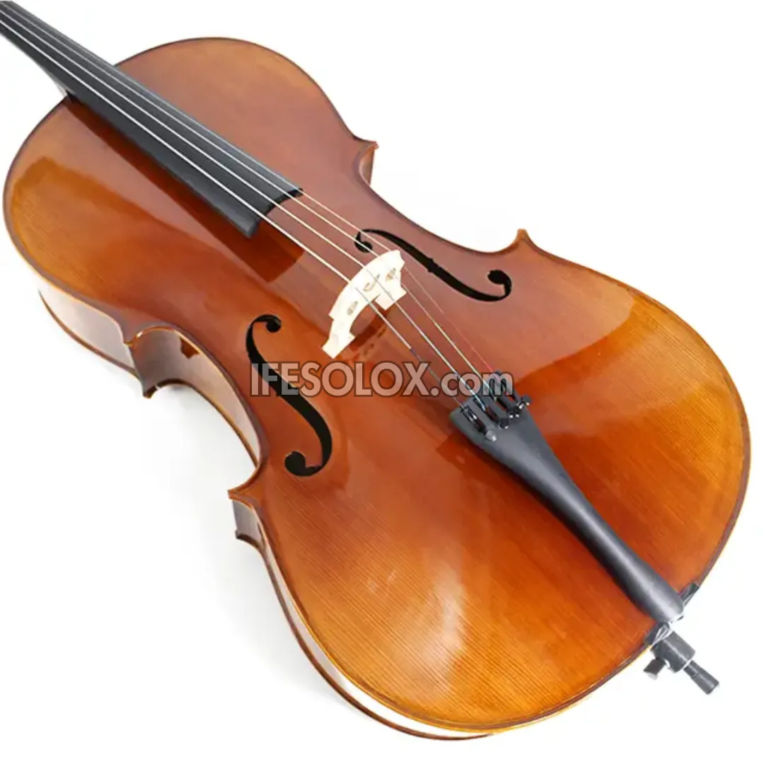 Premium 4/4 Professional Cello with Hard Case, Bow and Rosin - Brand New