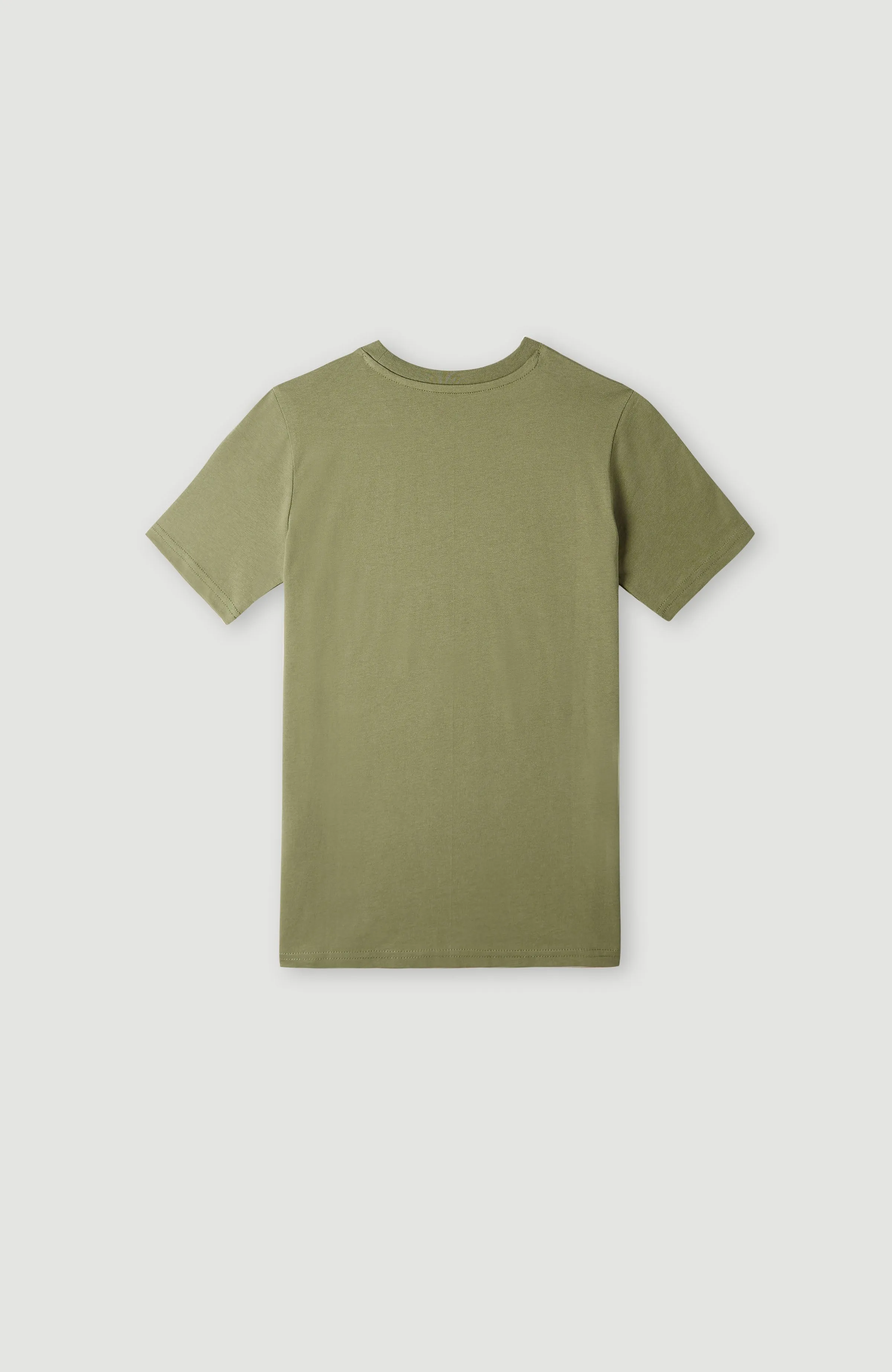 Torrey T-Shirt | Deep Lichen Green